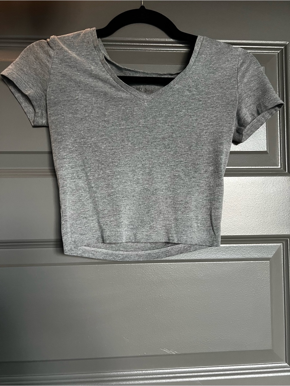 wild fable Gray V-Neck Cropped Tee